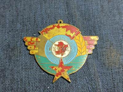 罗岚⭐爱藏⭐精品专拍第七场-分享拍场赚佣（周六有群拍，详细看简介） - 解放东北胜利纪念章