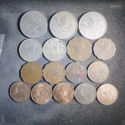 沼泽如烟--第900场 - 苏丹16枚