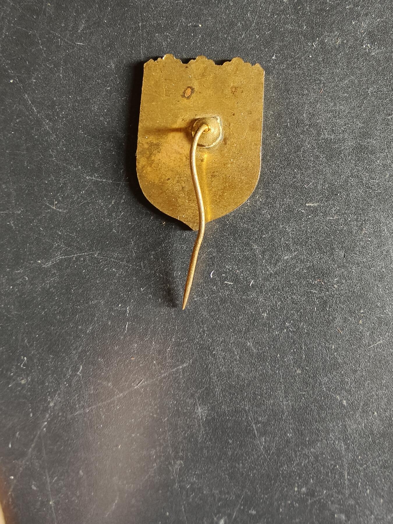 老王徽章第163期 13-15日三场连拍 16日统一发货  13、14日结束后可寄存