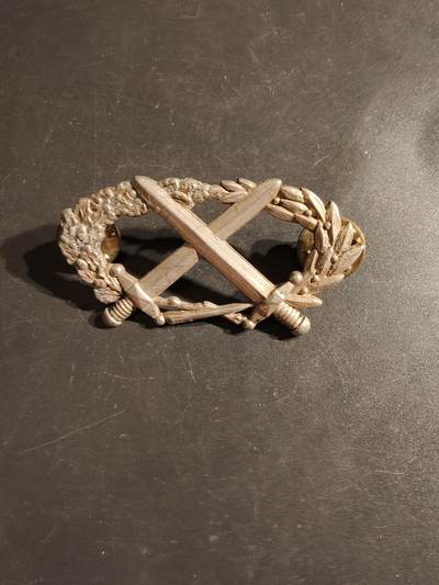 老王徽章第163期 13-15日三场连拍 16日统一发货  13、14日结束后可寄存 -  法国银级军事技能章