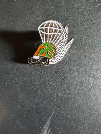 老王徽章第163期 13-15日三场连拍 16日统一发货  13、14日结束后可寄存 - 美国海军陆战队空降团徽章 