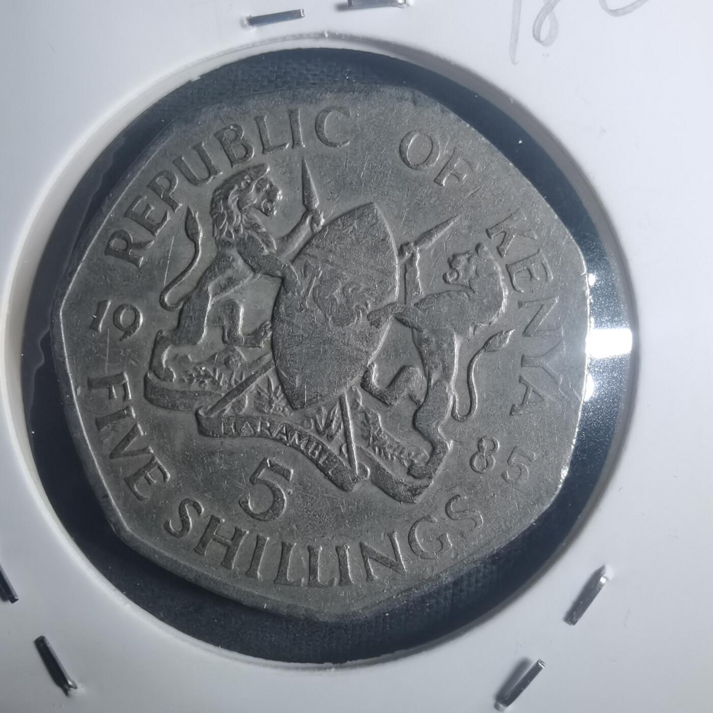 沼泽如烟--第900场