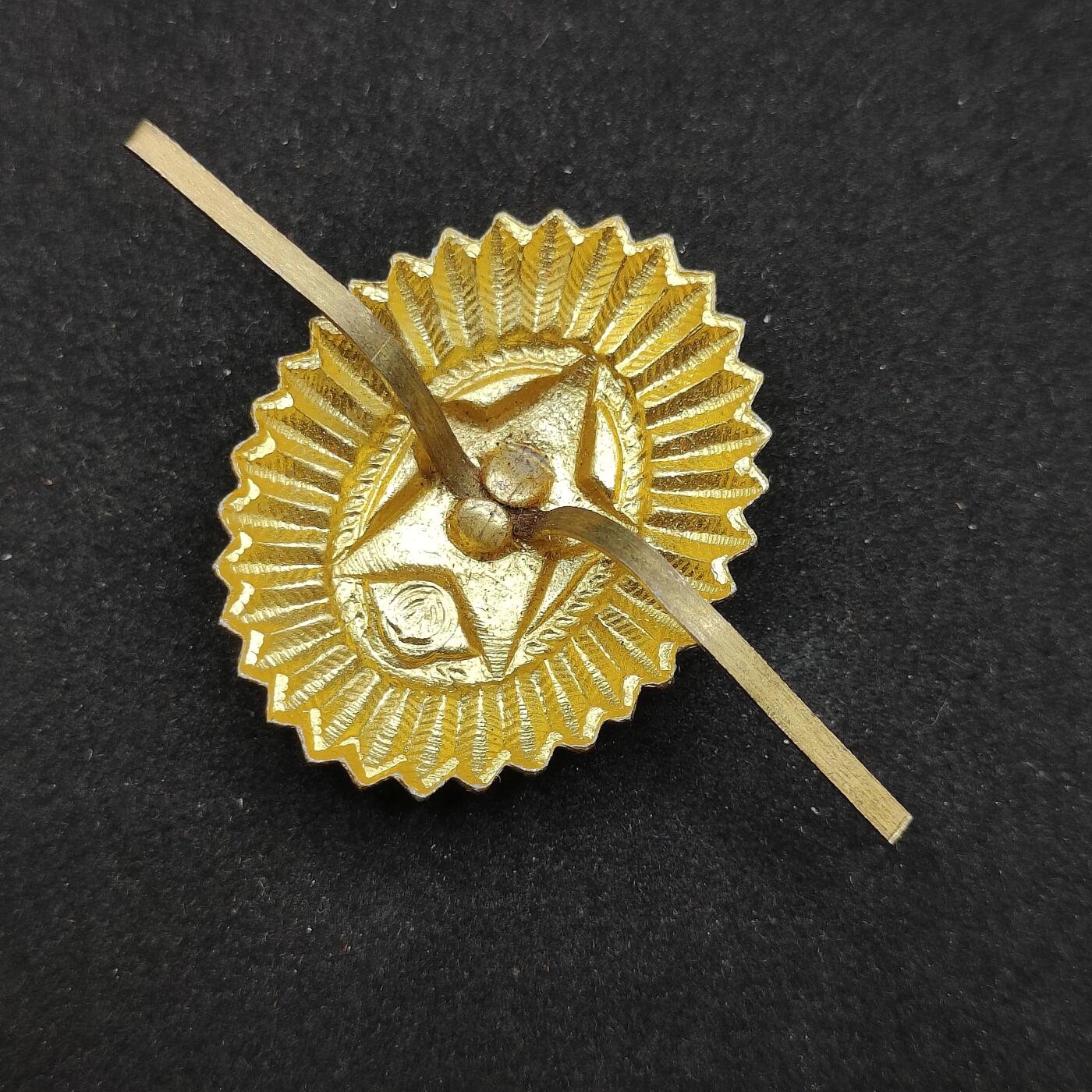 0元起拍勋章 第310期 咸鱼国勋章拍卖专场 11月16日（周日）下午6：00开始 苏联帽徽