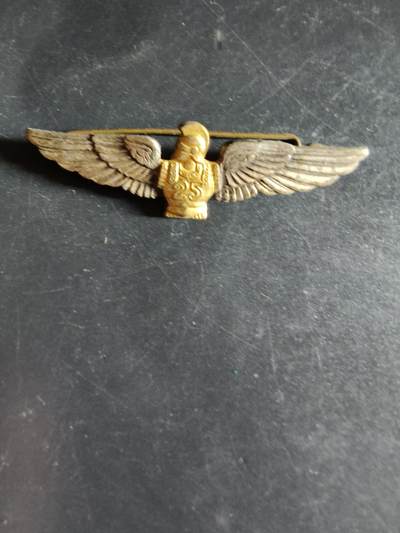 老王徽章第163期 13-15日三场连拍 16日统一发货  13、14日结束后可寄存 -  法国第25伞降工兵团证章