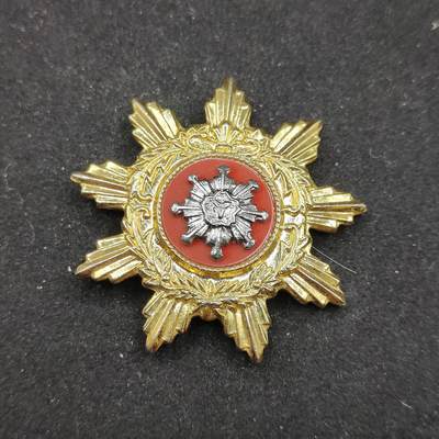 0元起拍勋章 第310期 咸鱼国勋章拍卖专场 11月16日（周日）下午6：00开始 - 日本消防团勤续章