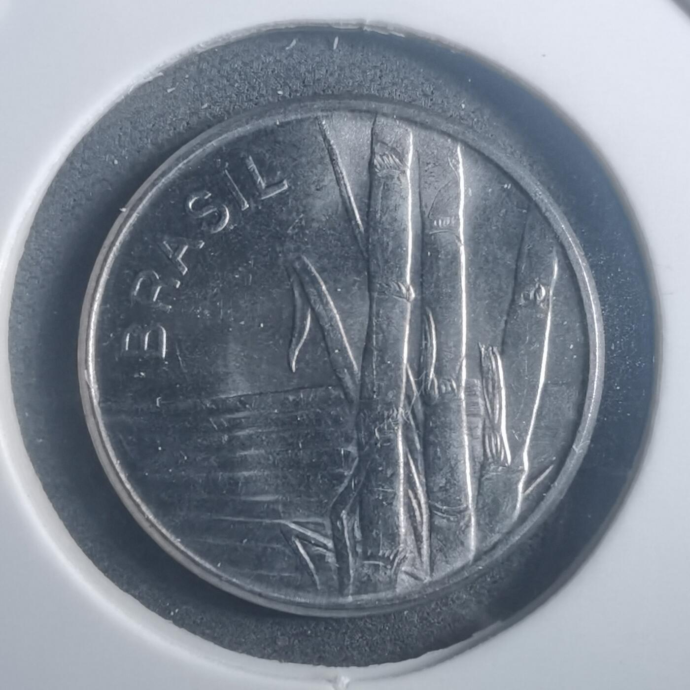 沼泽如烟--第903场