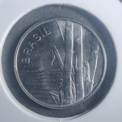 沼泽如烟--第903场 - 巴西1980年1克鲁扎多