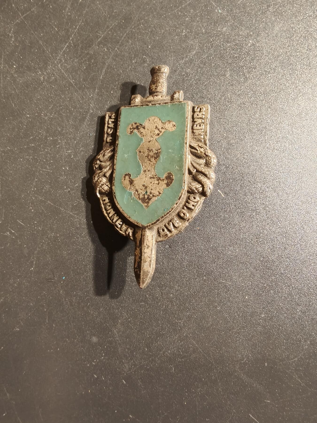 老王徽章第163期 13-15日三场连拍 16日统一发货  13、14日结束后可寄存 法国第2装甲师证章 