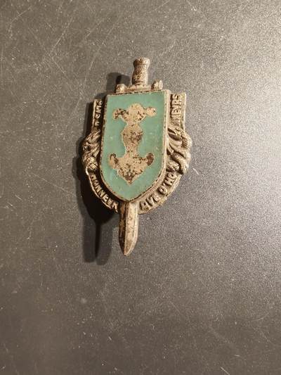 老王徽章第163期 13-15日三场连拍 16日统一发货  13、14日结束后可寄存 - 法国第2装甲师证章 