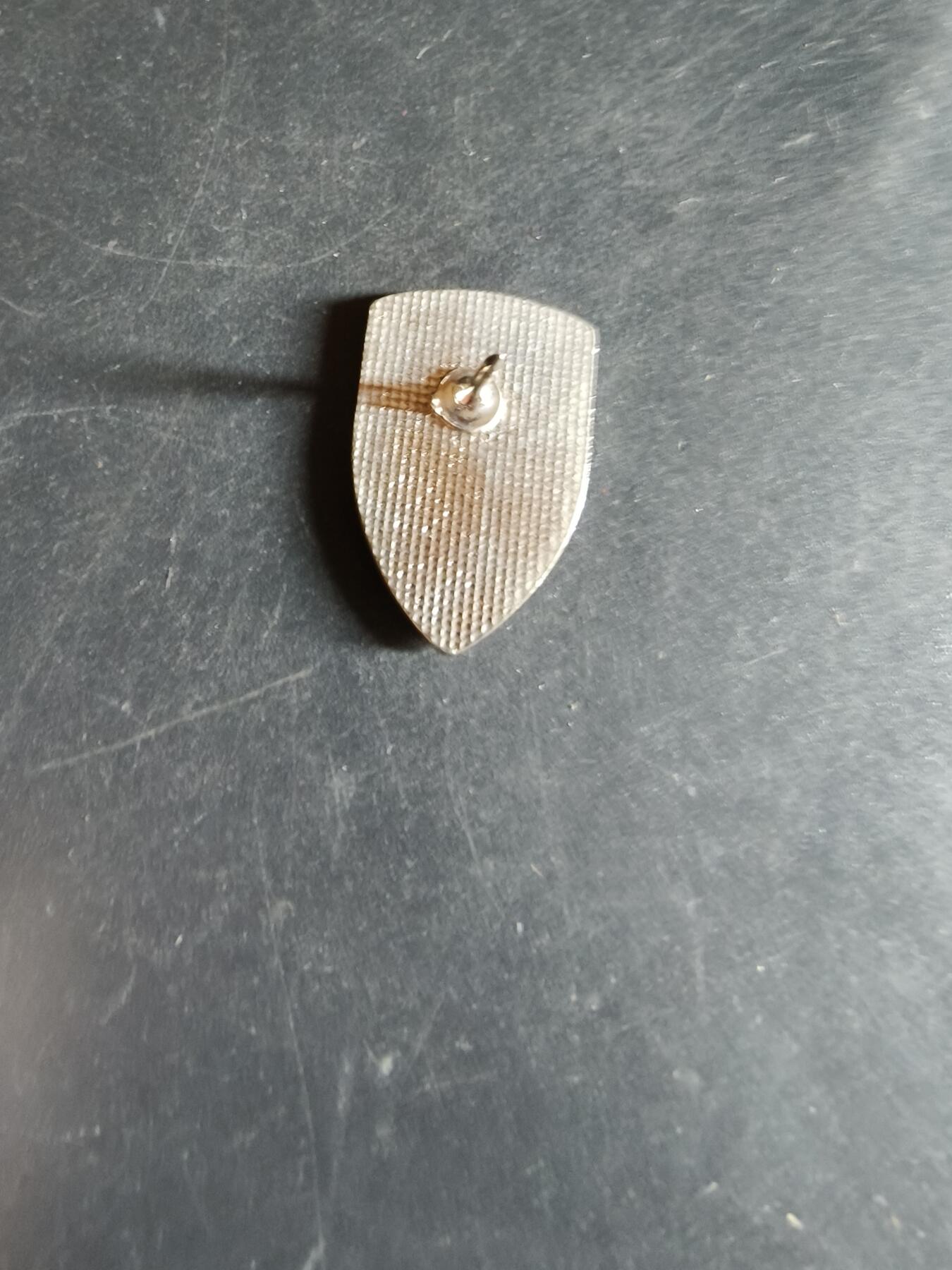 老王徽章第163期 13-15日三场连拍 16日统一发货  13、14日结束后可寄存 美国陆军越南作战徽章 