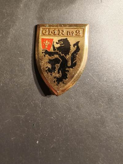 老王徽章第163期 13-15日三场连拍 16日统一发货  13、14日结束后可寄存 - 法国第2区域资源团证章 