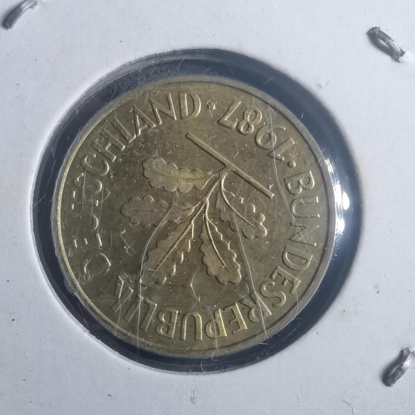 沼泽如烟--第903场