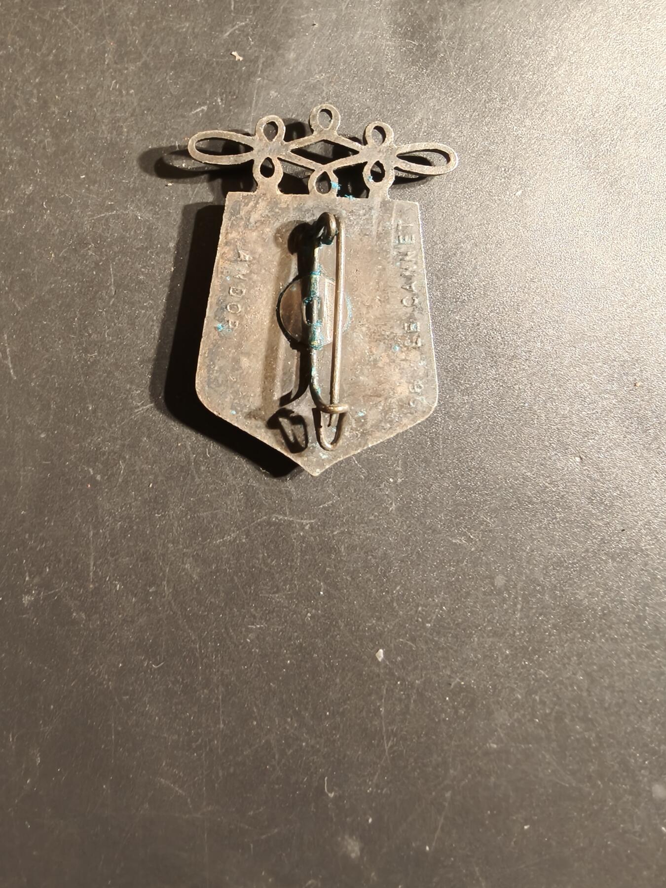 老王徽章第163期 13-15日三场连拍 16日统一发货  13、14日结束后可寄存  法国第8步兵团证章