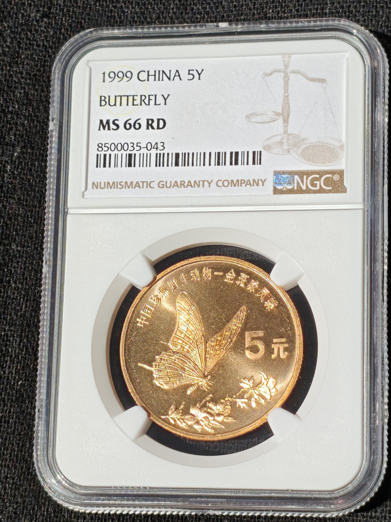 刘世昌艺术品销售中心～虎踞龙蟠*金杨在线联拍群第509期