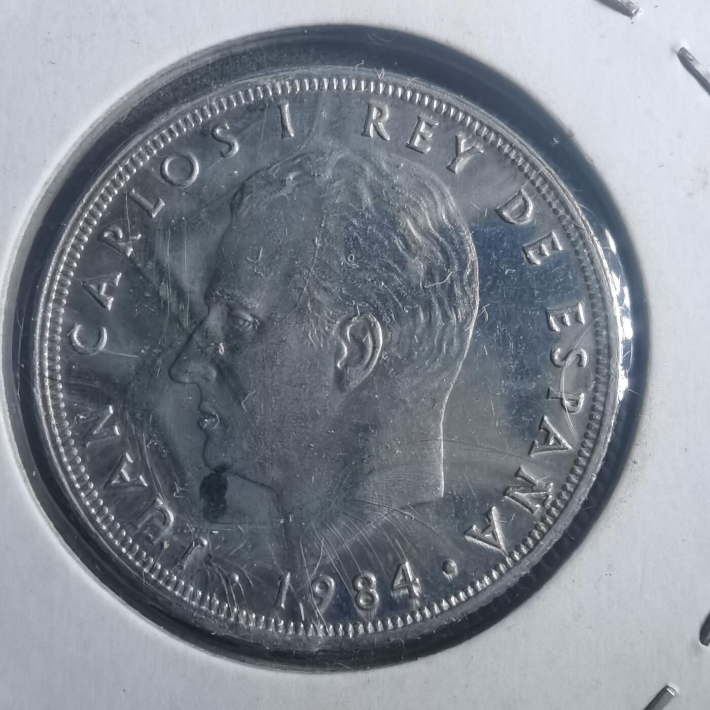 沼泽如烟--第903场