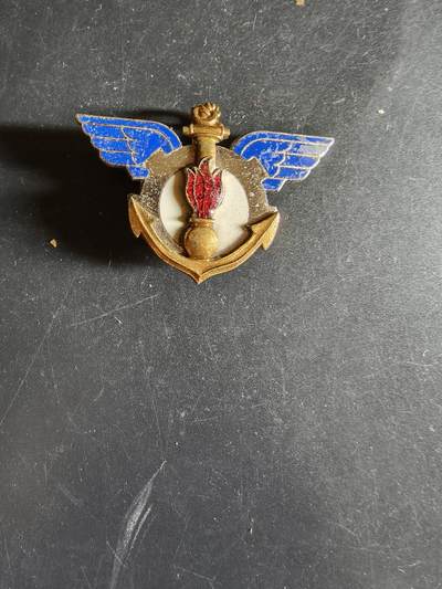 老王徽章第163期 13-15日三场连拍 16日统一发货  13、14日结束后可寄存 -  法国海军航空兵证章 