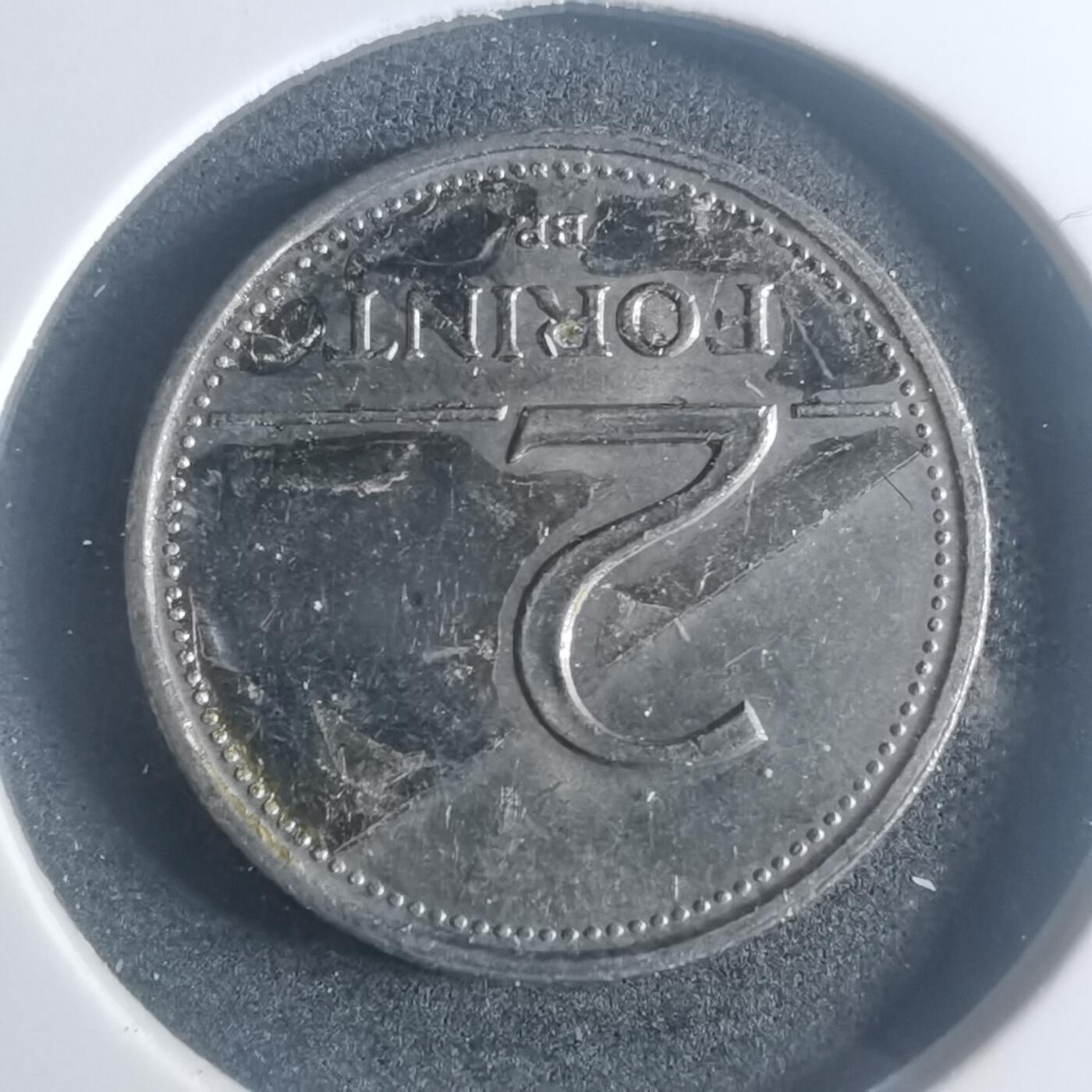 沼泽如烟--第900场