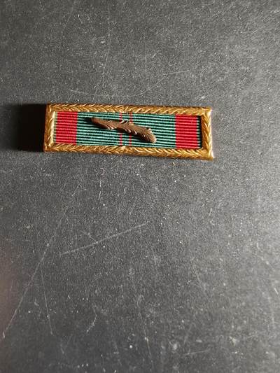 老王徽章第163期 13-15日三场连拍 16日统一发货  13、14日结束后可寄存 - 南越民事诉讼集体嘉奖勋略 