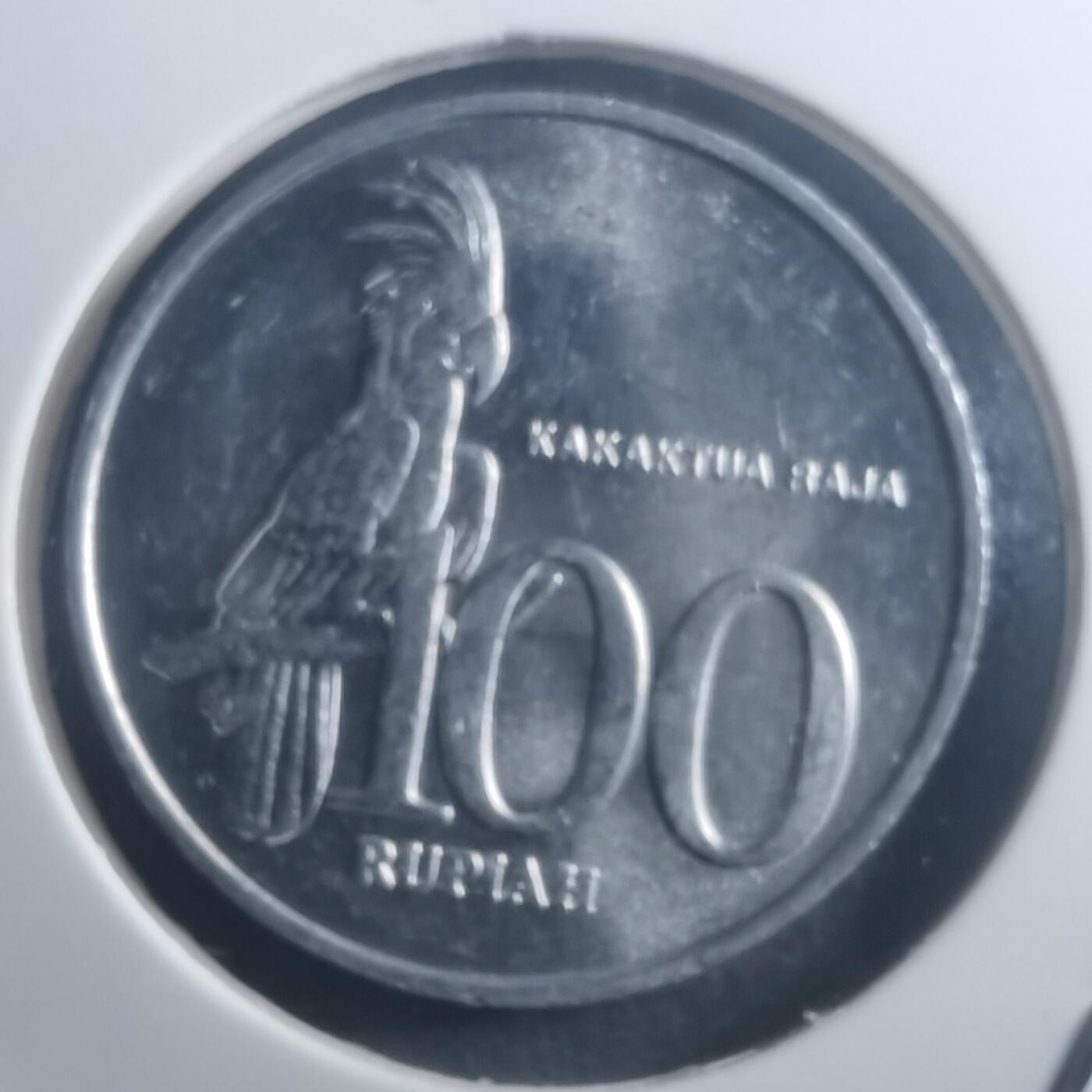 沼泽如烟--第903场