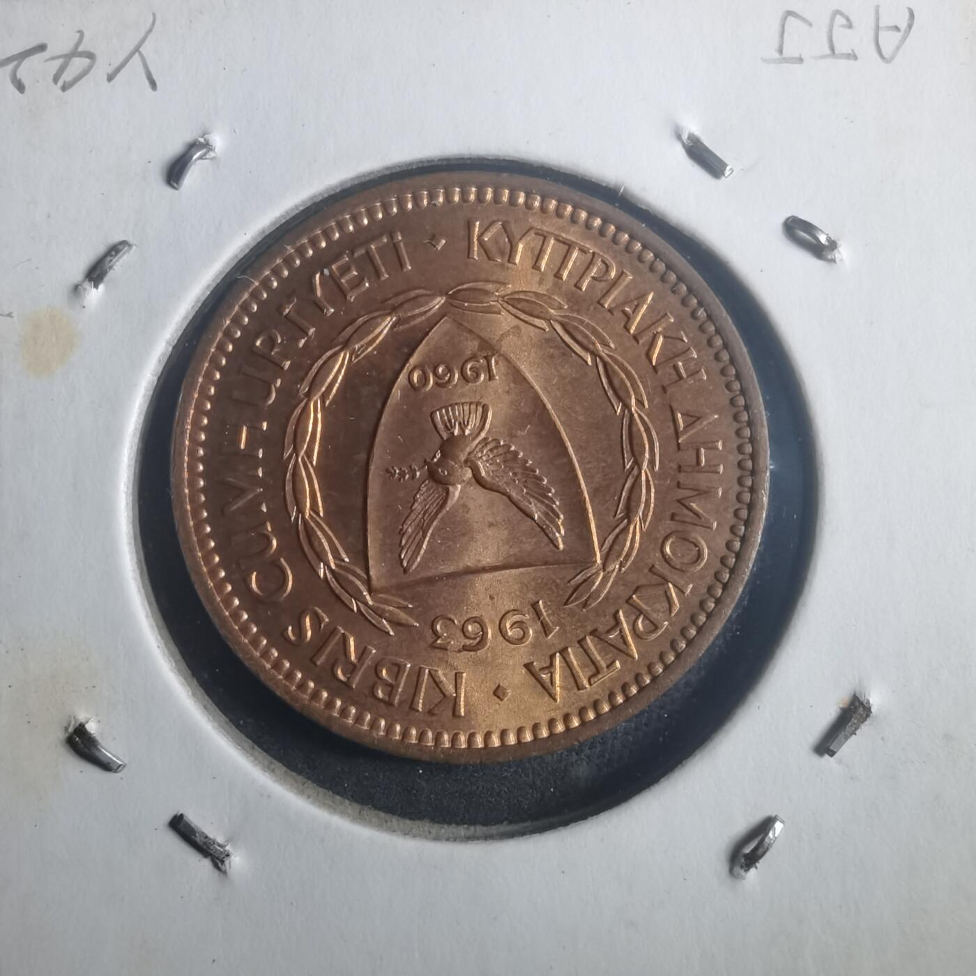 沼泽如烟--第903场