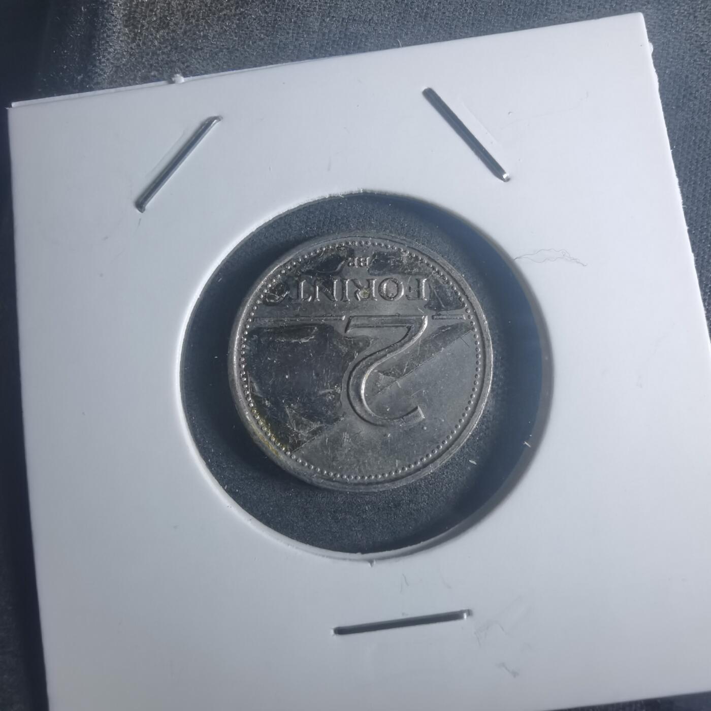 沼泽如烟--第900场