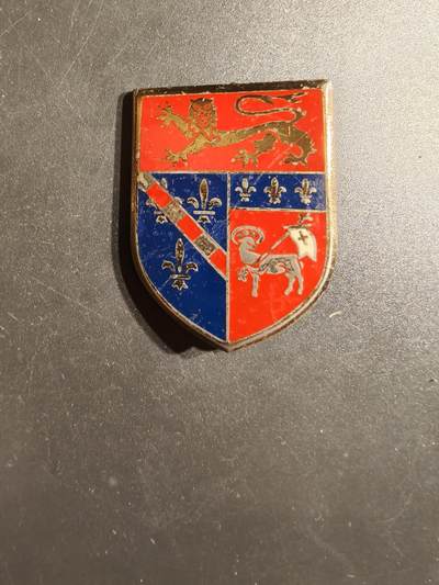 老王徽章第163期 13-15日三场连拍 16日统一发货  13、14日结束后可寄存 -  法国预备役第23地区师证章