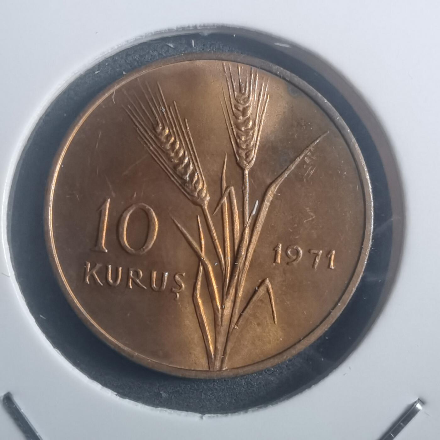 沼泽如烟--第903场