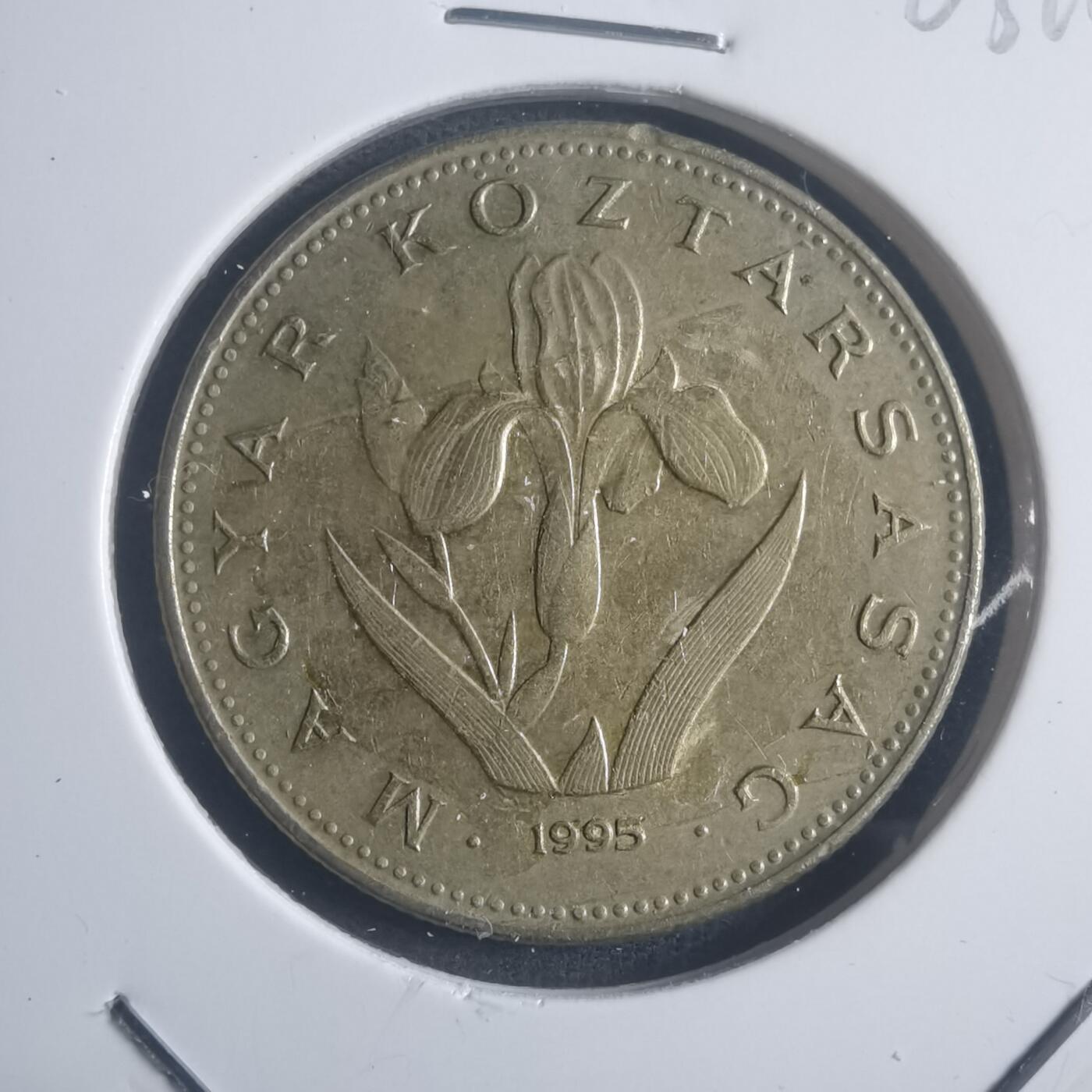 沼泽如烟--第903场 匈牙利1995年20福林