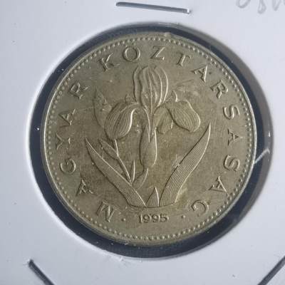 沼泽如烟--第903场 - 匈牙利1995年20福林