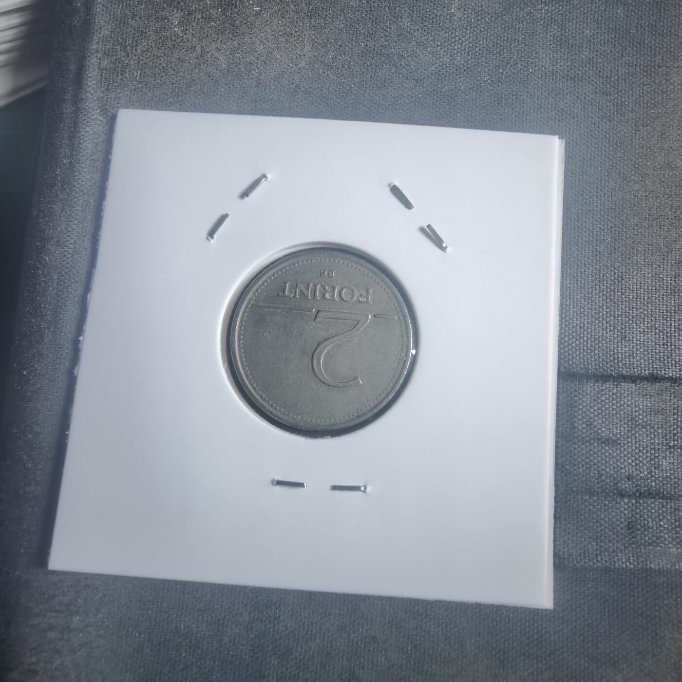 沼泽如烟--第903场