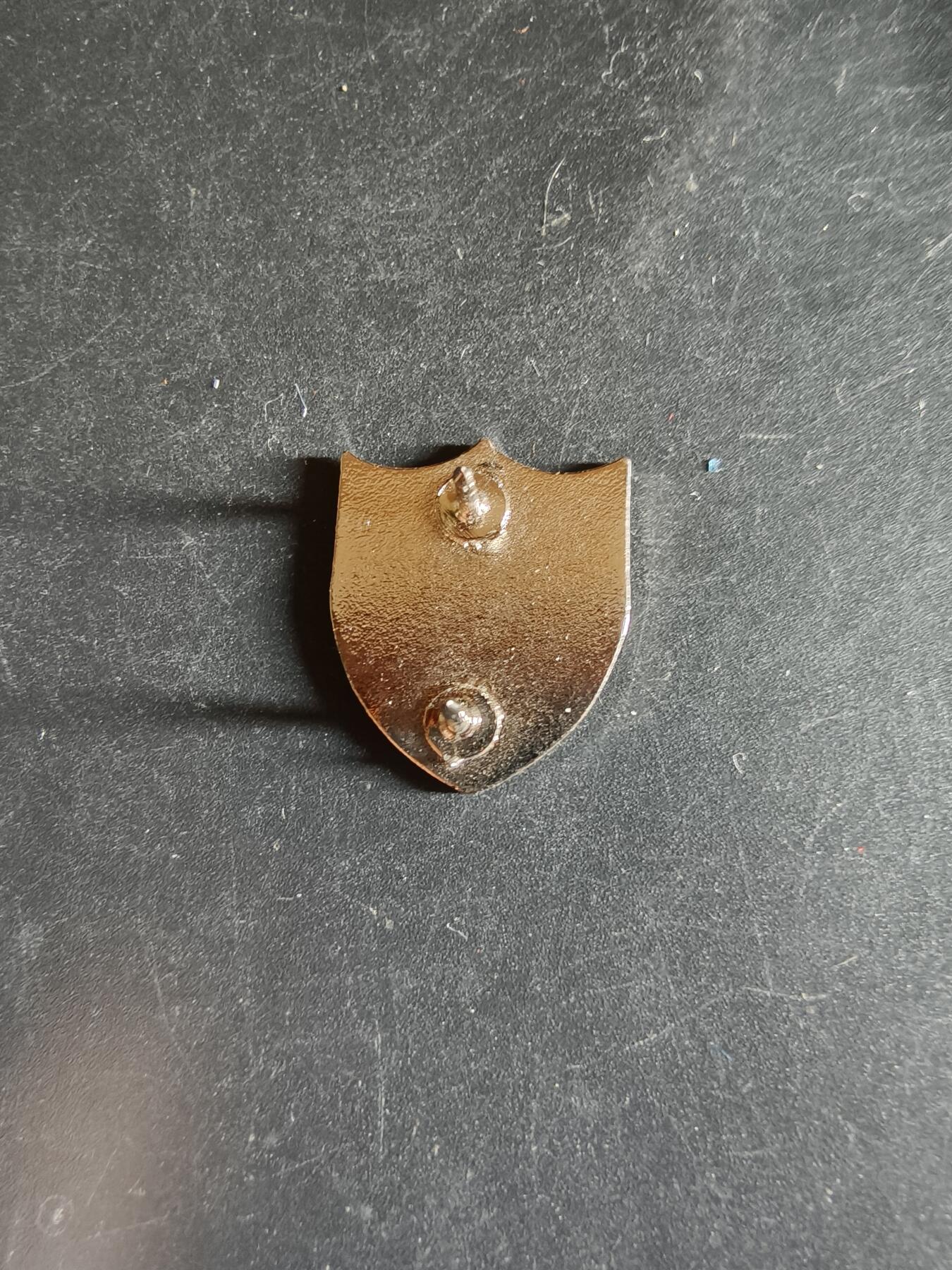 老王徽章第163期 13-15日三场连拍 16日统一发货  13、14日结束后可寄存