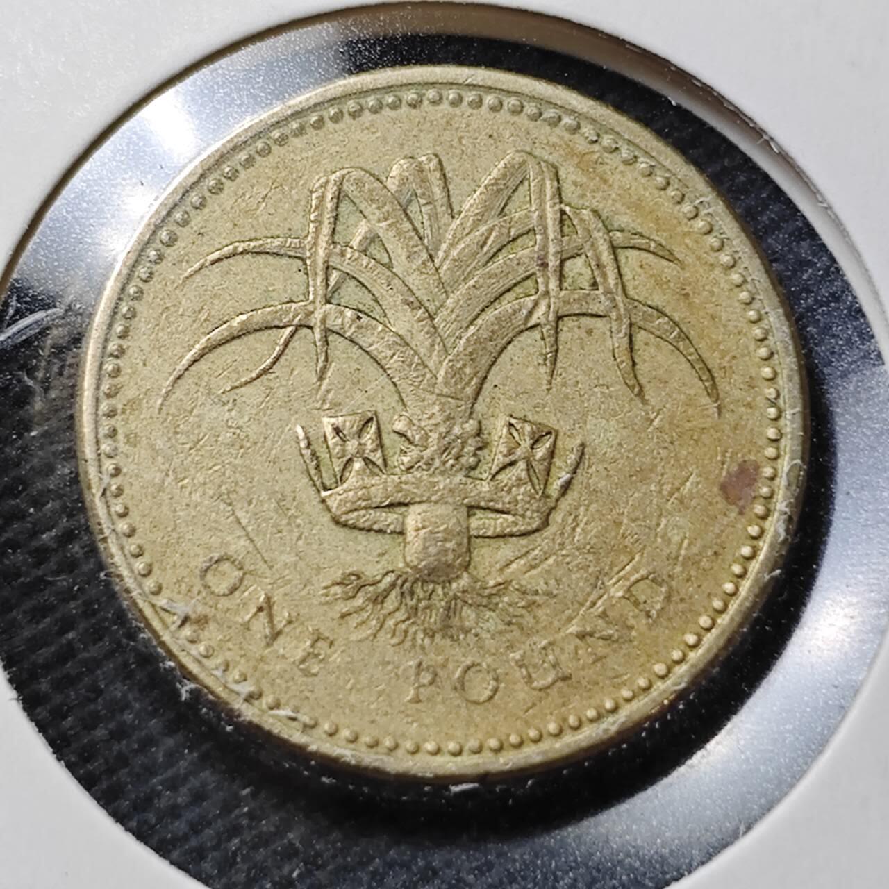 KK钱币收藏小铺  第370场  2月预留时间 周末发货