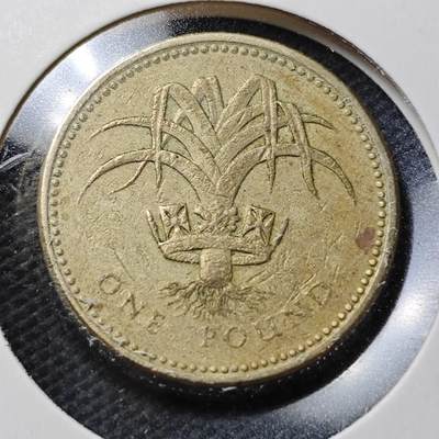 KK钱币收藏小铺  第370场  2月预留时间 周末发货 -  英国1镑