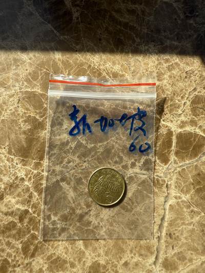 四海杂货铺第十二场 - 新加坡硬币