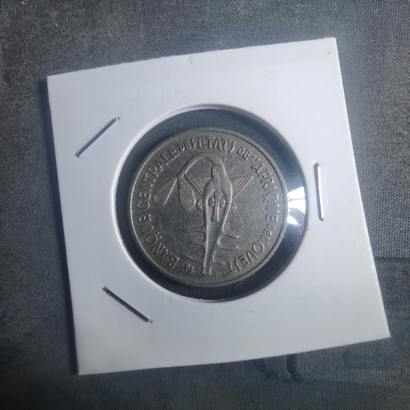 沼泽如烟--第900场