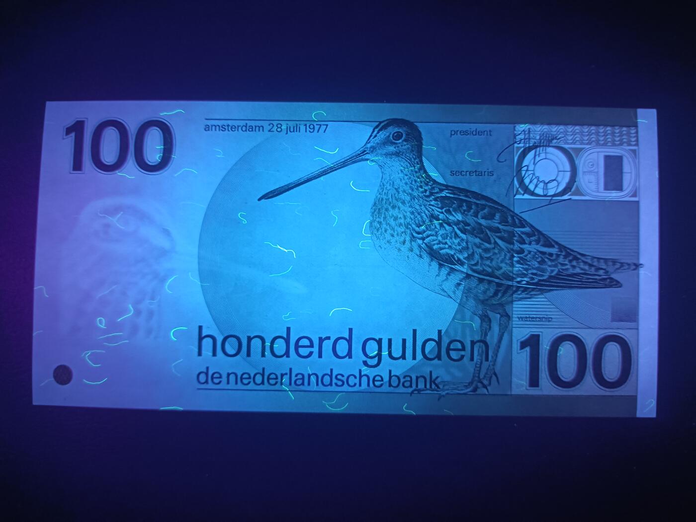 2025十一月第四期，总202期