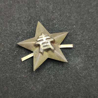 0元起拍勋章 第310期 咸鱼国勋章拍卖专场 11月16日（周日）下午6：00开始 - 日本战时 青年军校帽徽