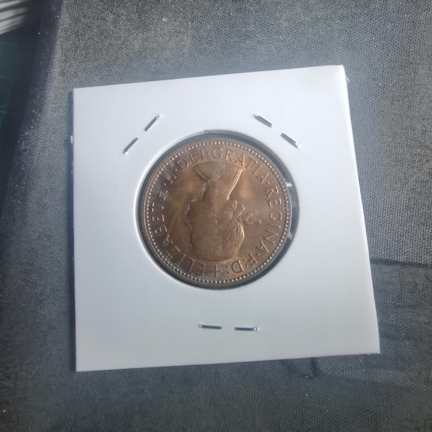 沼泽如烟--第903场