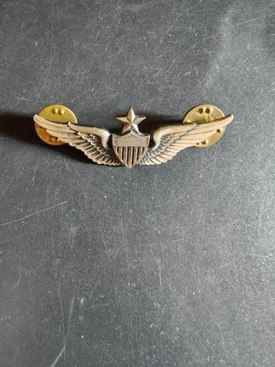 老王徽章第163期 13-15日三场连拍 16日统一发货  13、14日结束后可寄存 - 美国空军飞行员中级技能章      包银    1.75英寸