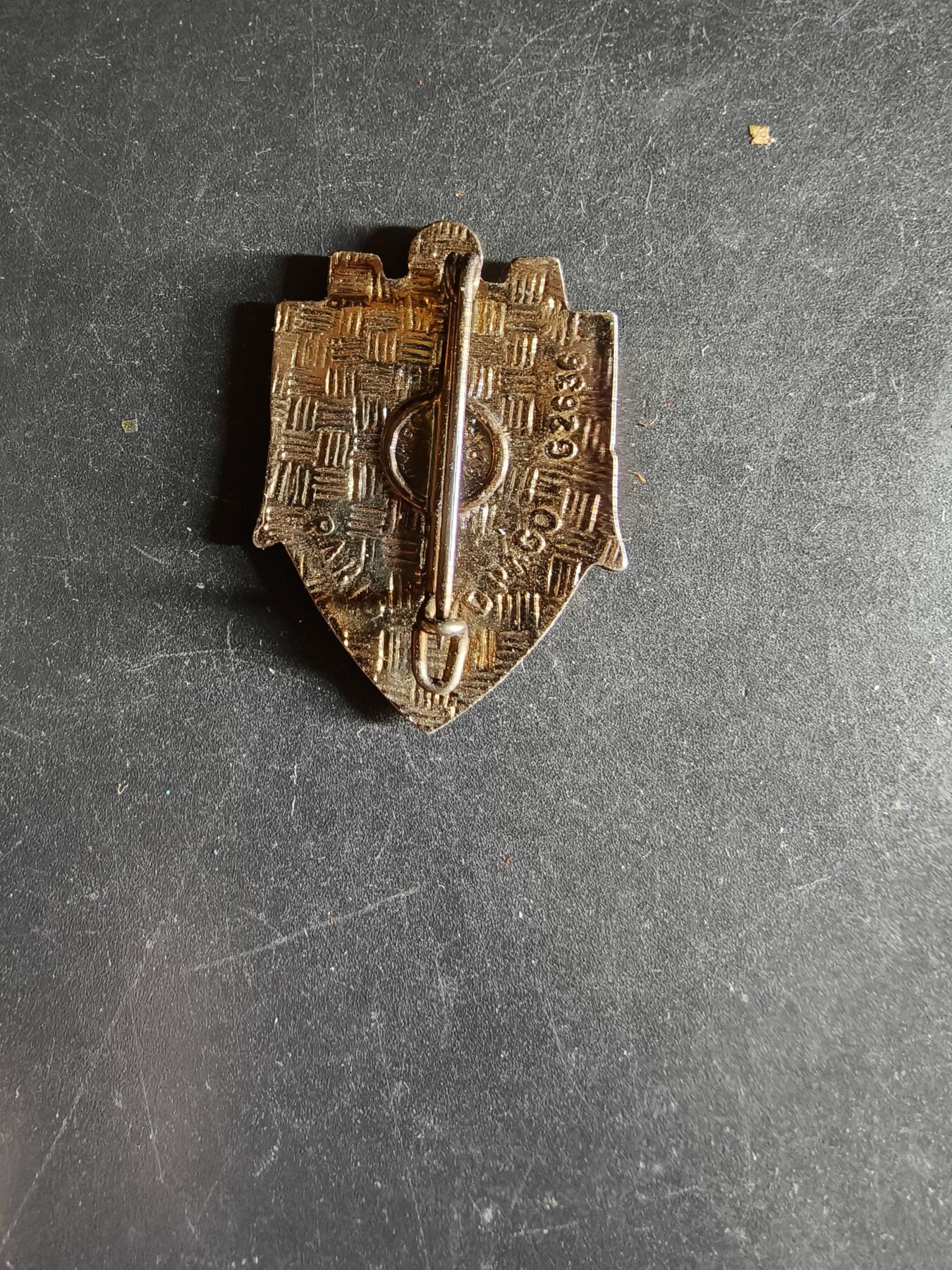 老王徽章第163期 13-15日三场连拍 16日统一发货  13、14日结束后可寄存  法国海军陆战队第6步兵团证章