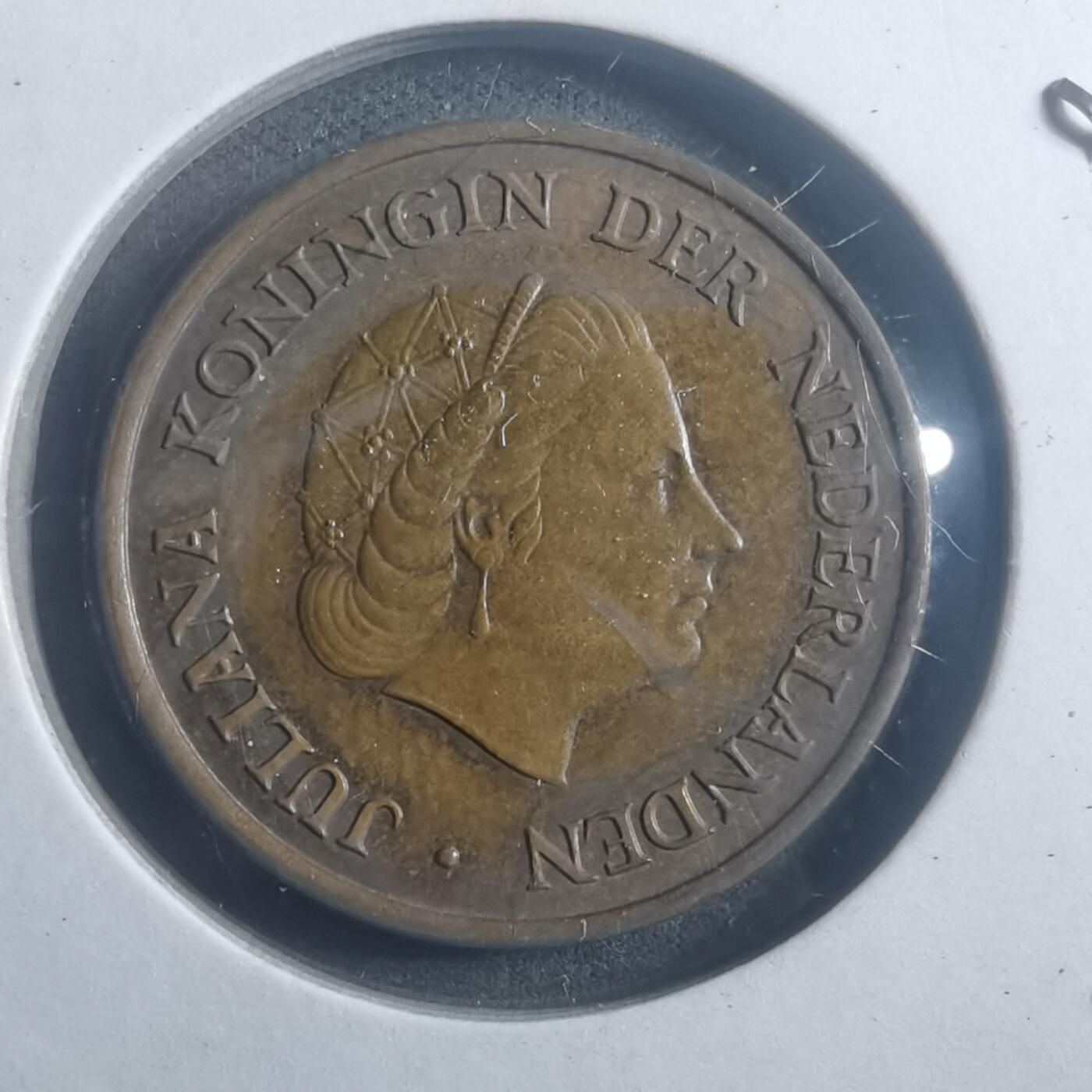 沼泽如烟--第903场