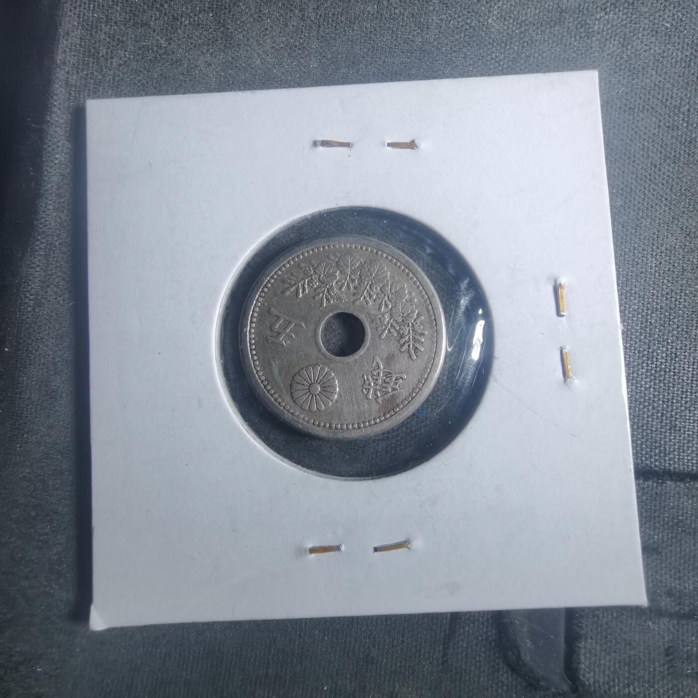 沼泽如烟--第900场