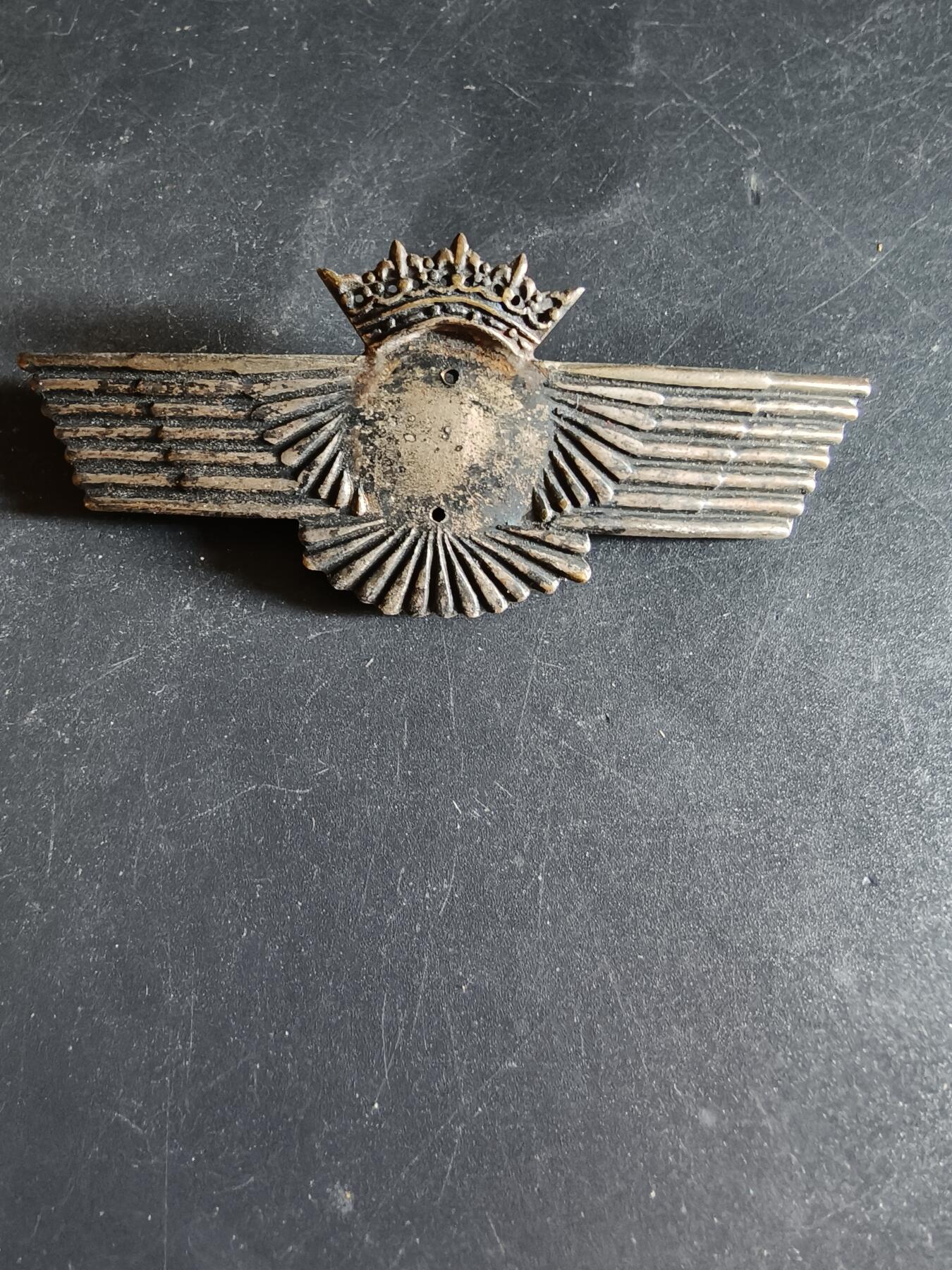 老王徽章第163期 13-15日三场连拍 16日统一发货  13、14日结束后可寄存  西班牙空军证章      缺少中间芯片