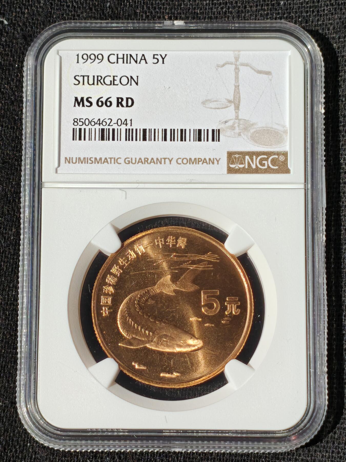 刘世昌艺术品销售中心～虎踞龙蟠*金杨在线联拍群第509期