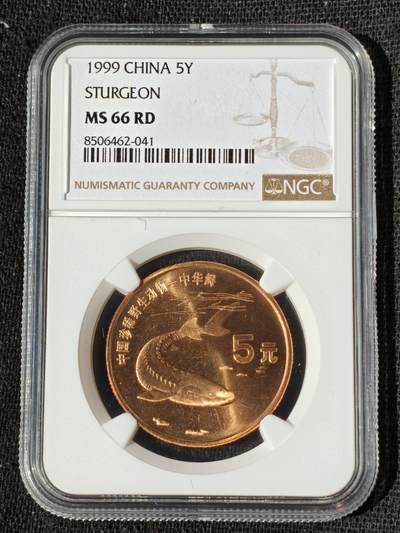 刘世昌艺术品销售中心～虎踞龙蟠*金杨在线联拍群第509期 - 1999年流通纪念币“中华鲟”（NGC   MS66RD   串号：8506462-041）1枚。