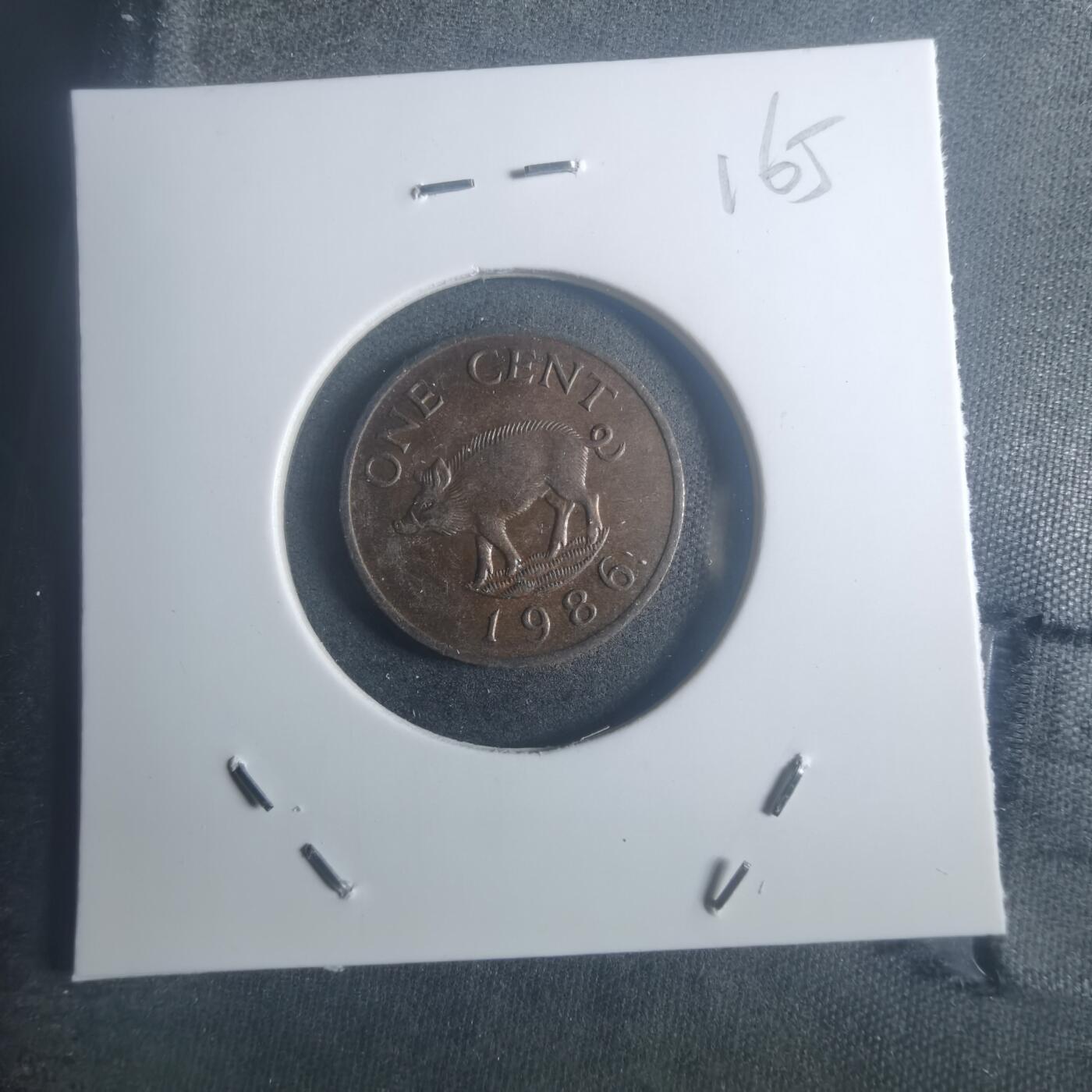 沼泽如烟--第900场