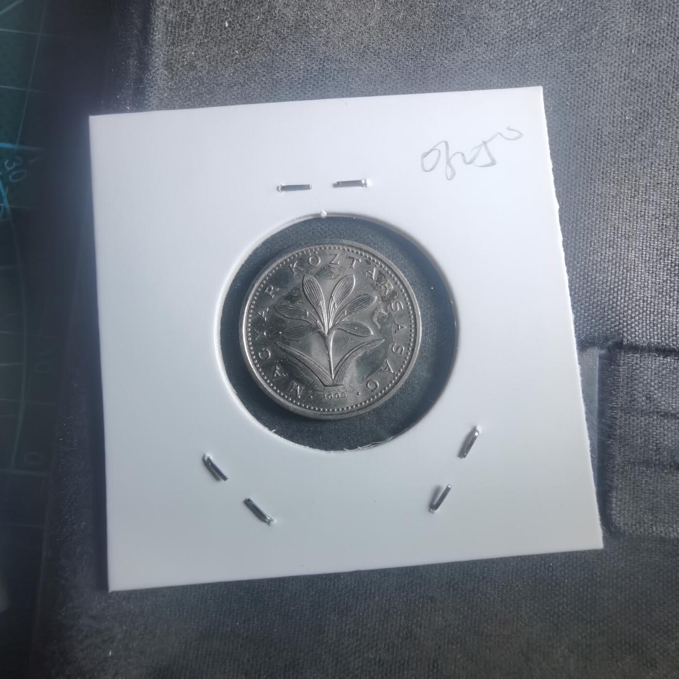 沼泽如烟--第903场