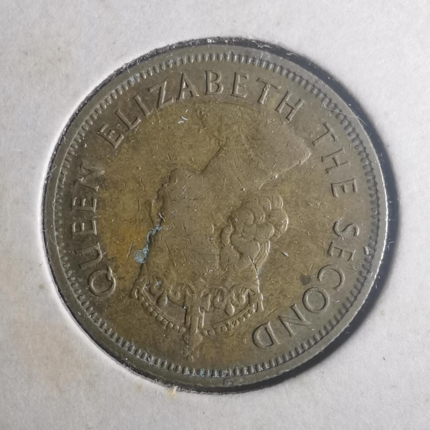 沼泽如烟--第900场