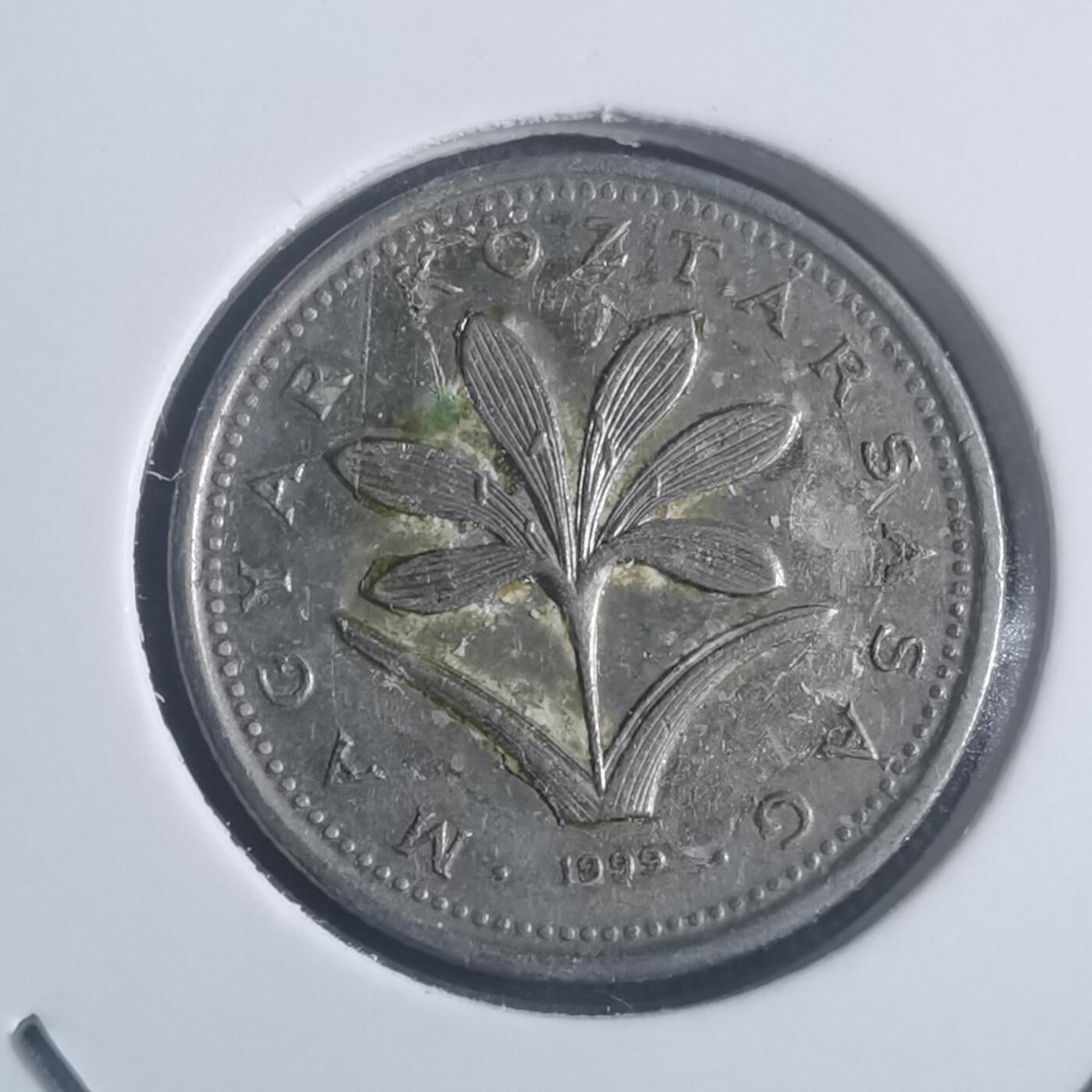 沼泽如烟--第903场