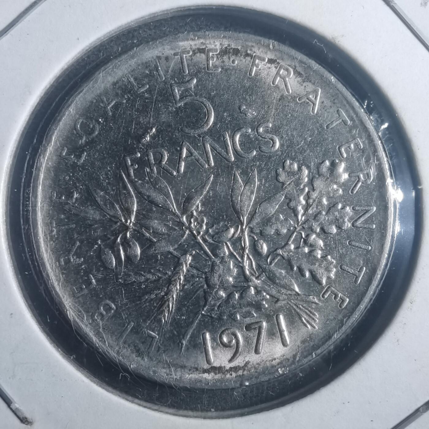 沼泽如烟--第903场